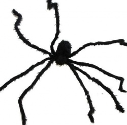 Spider - black