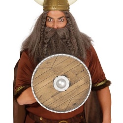 Viking shield	