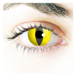 Contact Lenses - Thriller yellow cat