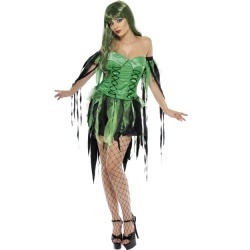 Naughty Fairy Witch Costume