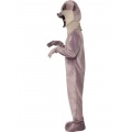 Meerkat Costume