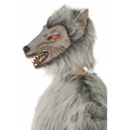 Werewolf Costume