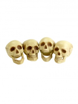 Skulls