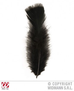 Feathers black