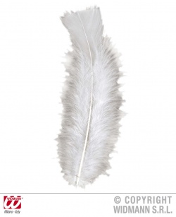 Feathers white