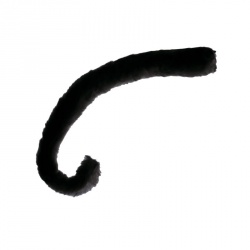 Black cat tail