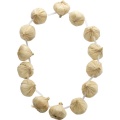 Garlic Garland, 14 Pieces On Necklace 