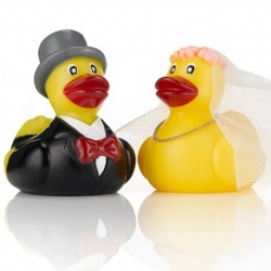 Mr & Mrs Duck