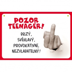  Cedulka Pozor teenager