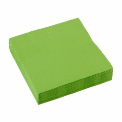 20 Beverage Napkins Kiwi