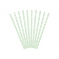 Paper Straws - Mint
