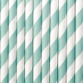 Striped Paper Straws - Sky Blue